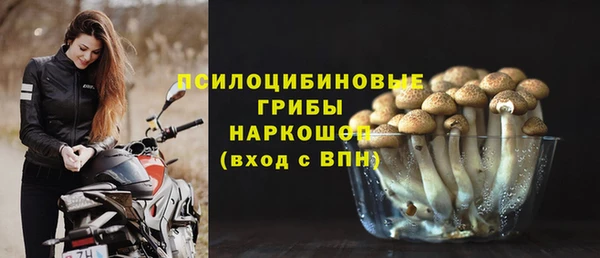стафф Балабаново