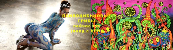 ECSTASY Баксан
