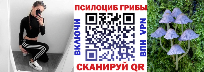 Псилоцибиновые грибы Magic Shrooms  купить наркотики сайты  Армавир 
